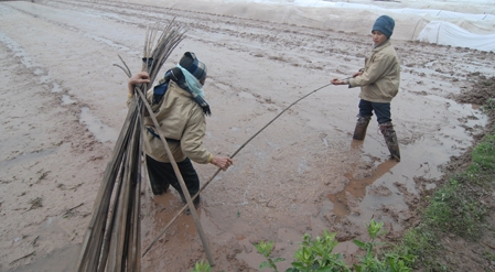 Vize-Premier Hai überprüft die landwirtschaftliche Produktion in Nam Dinh